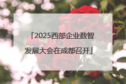 2025西部企业数智发展大会在成都召开