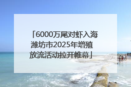 6000万尾对虾入海 潍坊市2025年增殖放流活动拉开帷幕