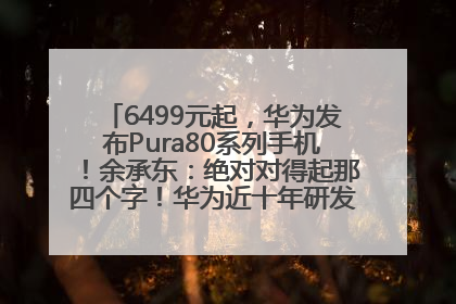 6499元起，华为发布Pura80系列手机！余承东：绝对对得起那四个字！华为近十年研发投入12490亿元